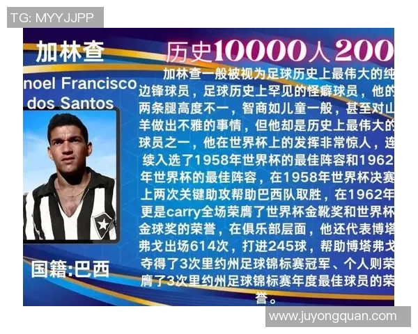 全球足球巨星榜单排名揭秘谁是历史上最伟大的球员