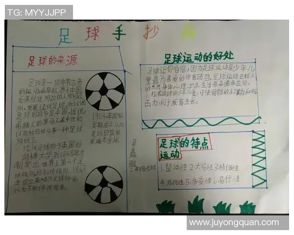 小学生收藏足球星卡能否提升足球兴趣与知识水平探讨