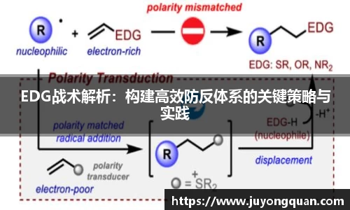 EDG战术解析：构建高效防反体系的关键策略与实践